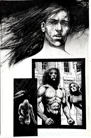 Alex Maleev Original Art Crow (1990's) Page Reference 46