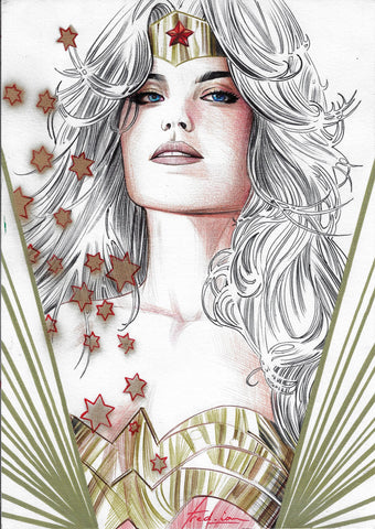 Fred Ian Original Art Wonder Woman DC Heroines Collection Illustration