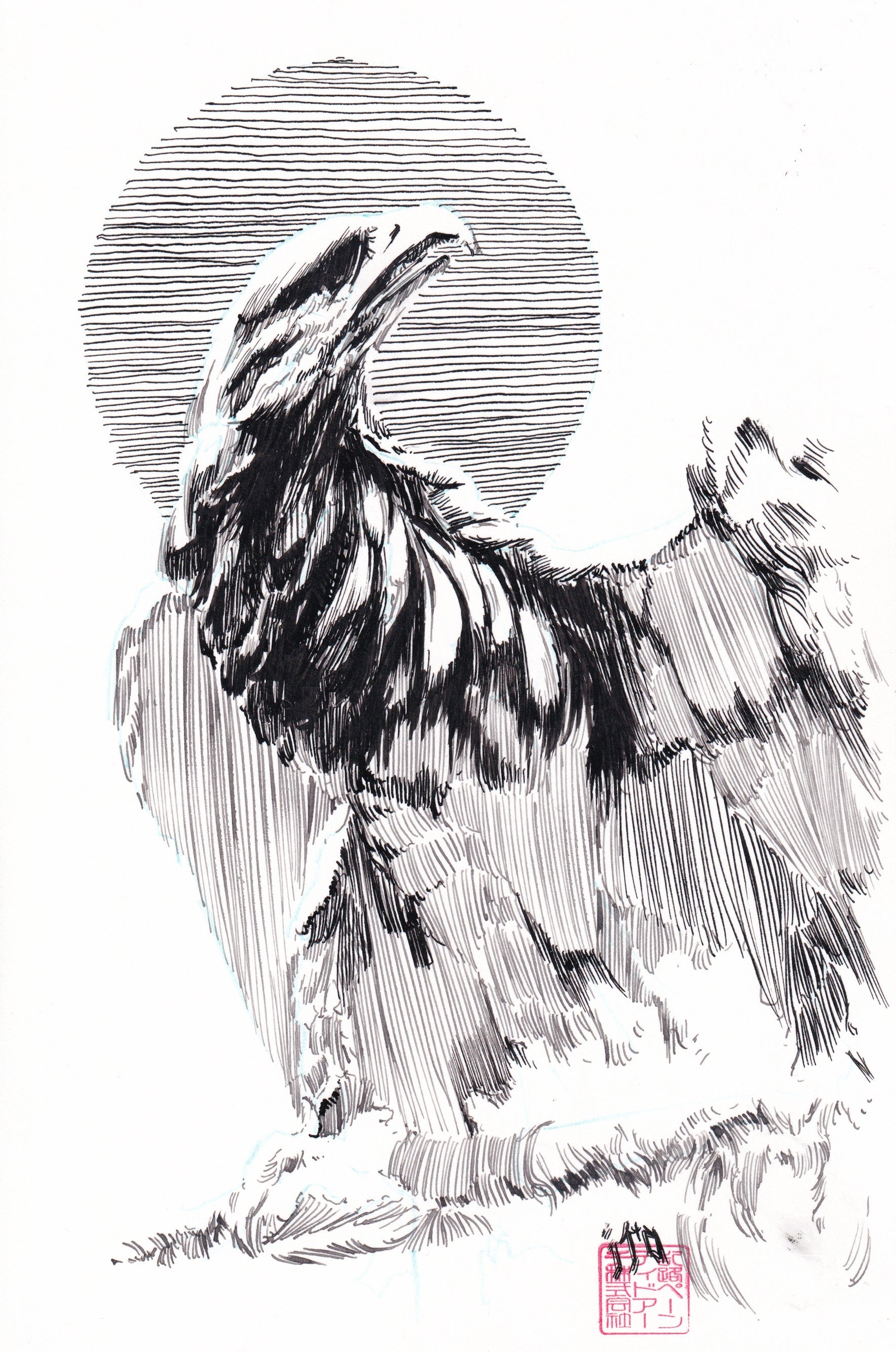 Ito Original Art Eagle Sketch