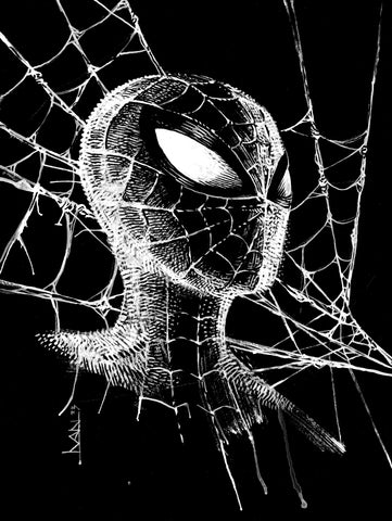 Michal Ivan Original Art Spider-Verse Spider-Man Illustration
