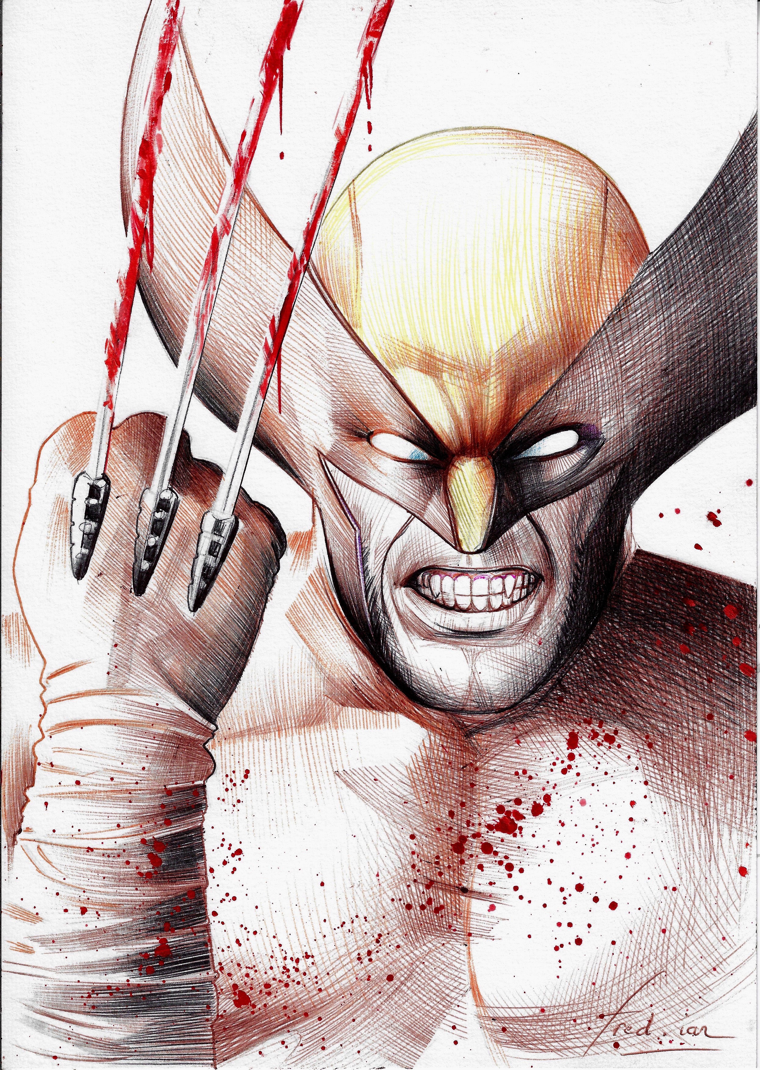 Fred Ian Original Art Wolverine Illustration