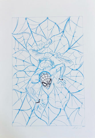 Doaly Original Art Spider-Man: India #1 Cover
