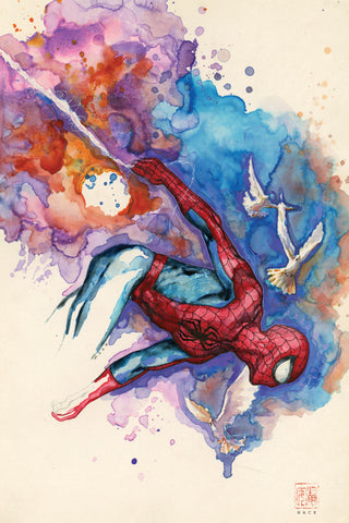 David Mack Spider-Man 12x18" Limited Edition Giclee